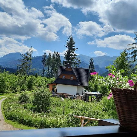 Goralska Chata Przy Dolinie Chocholowskiej Witów Extérieur photo