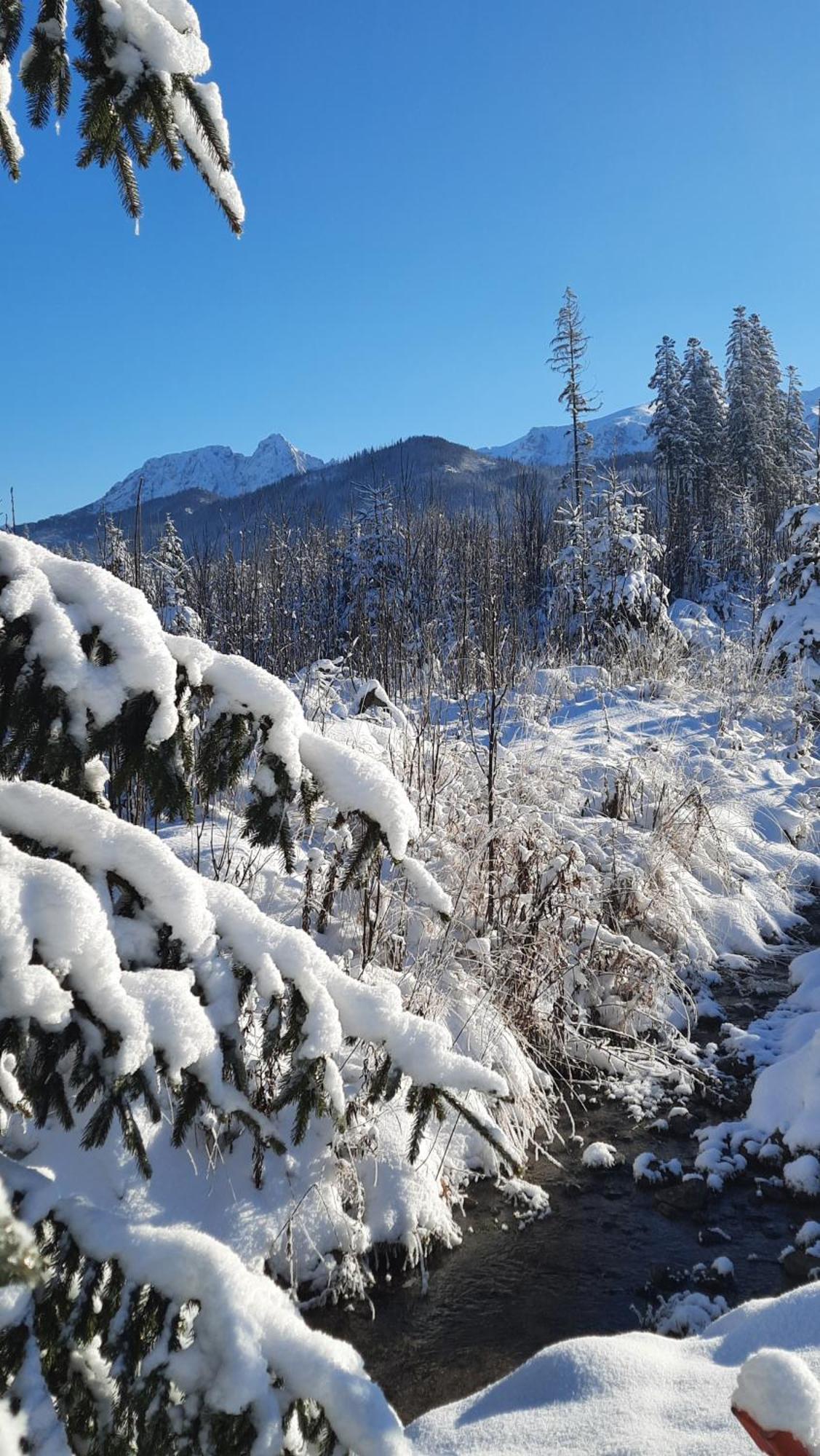 Goralska Chata Przy Dolinie Chocholowskiej Witów Extérieur photo