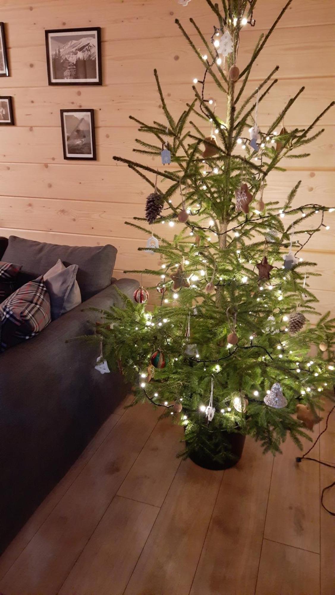 Goralska Chata Przy Dolinie Chocholowskiej Witów Extérieur photo