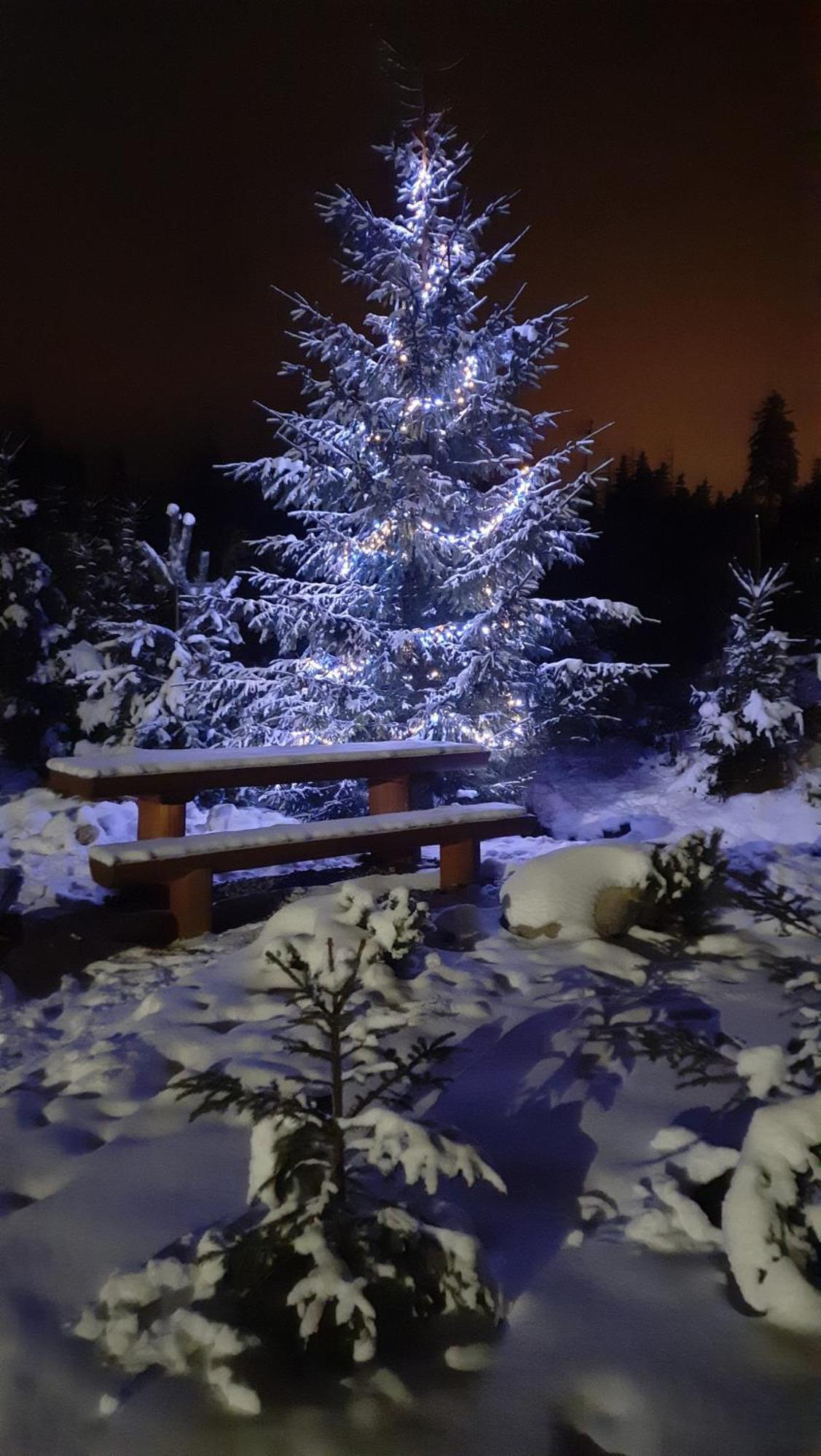 Goralska Chata Przy Dolinie Chocholowskiej Witów Extérieur photo