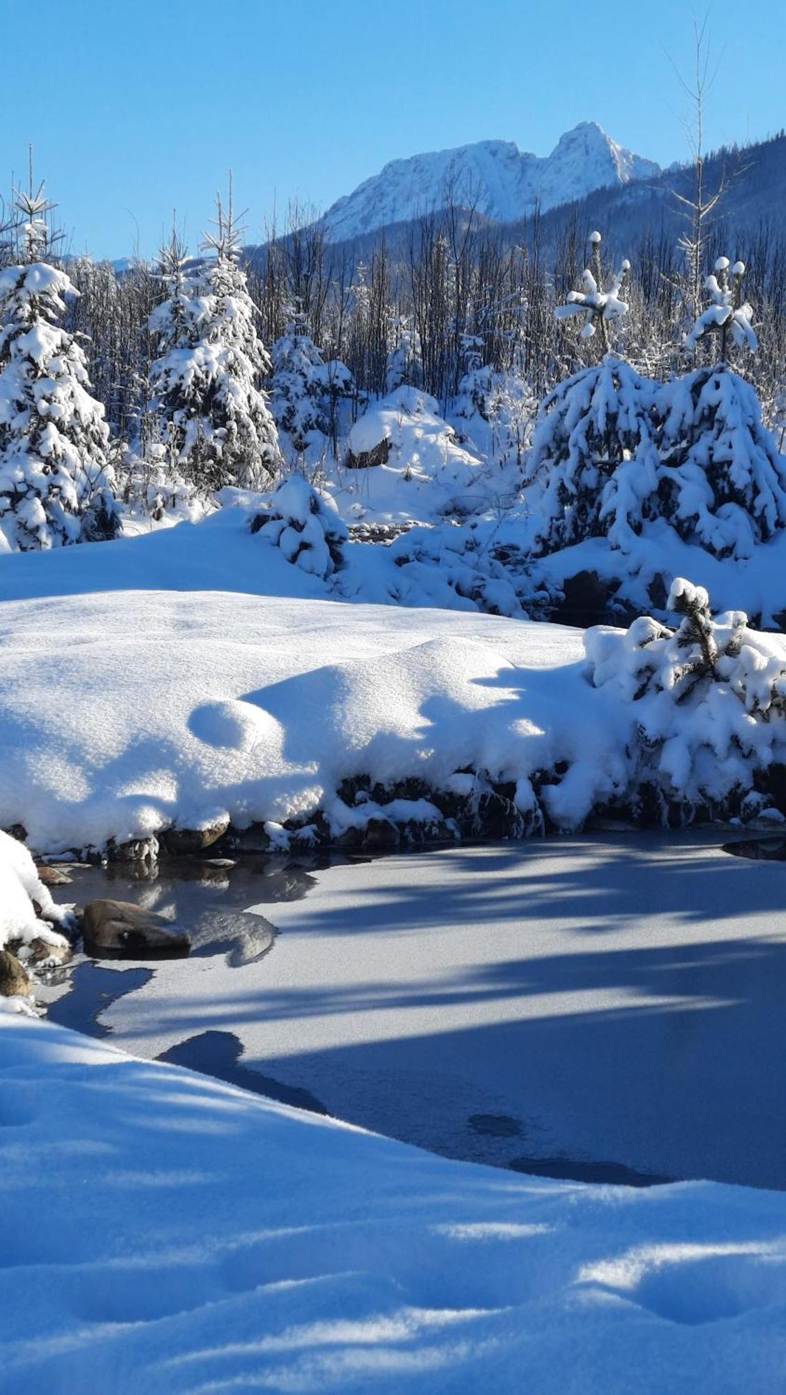 Goralska Chata Przy Dolinie Chocholowskiej Witów Extérieur photo