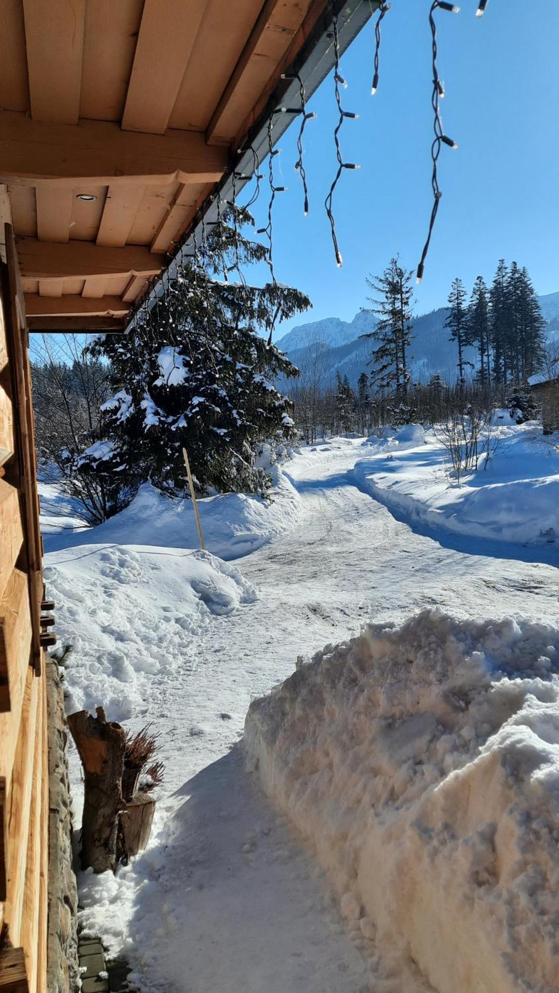 Goralska Chata Przy Dolinie Chocholowskiej Witów Extérieur photo