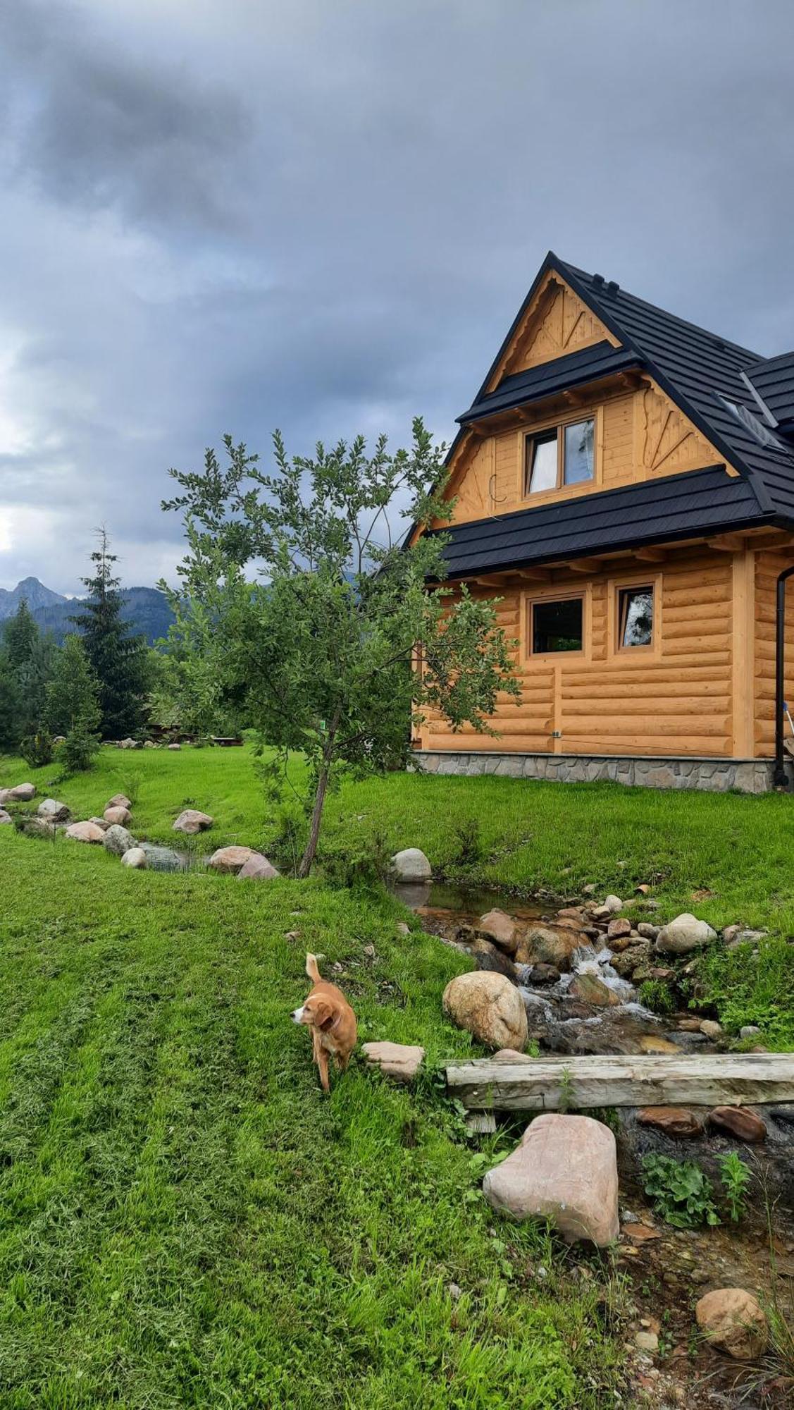 Goralska Chata Przy Dolinie Chocholowskiej Witów Extérieur photo
