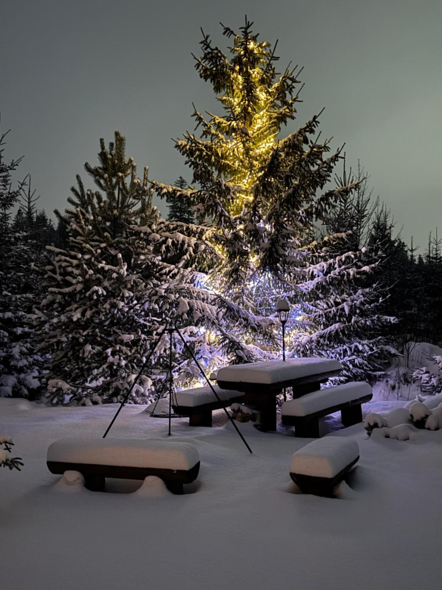 Goralska Chata Przy Dolinie Chocholowskiej Witów Extérieur photo